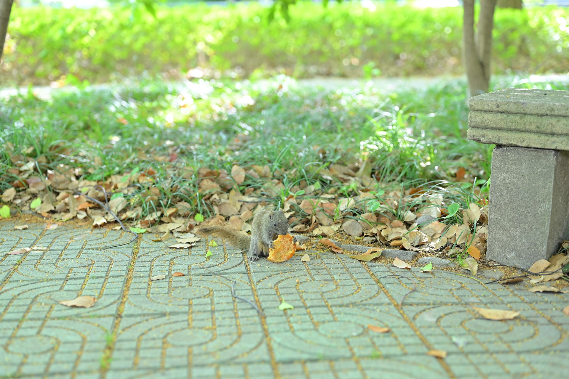 DSC_1470.JPG