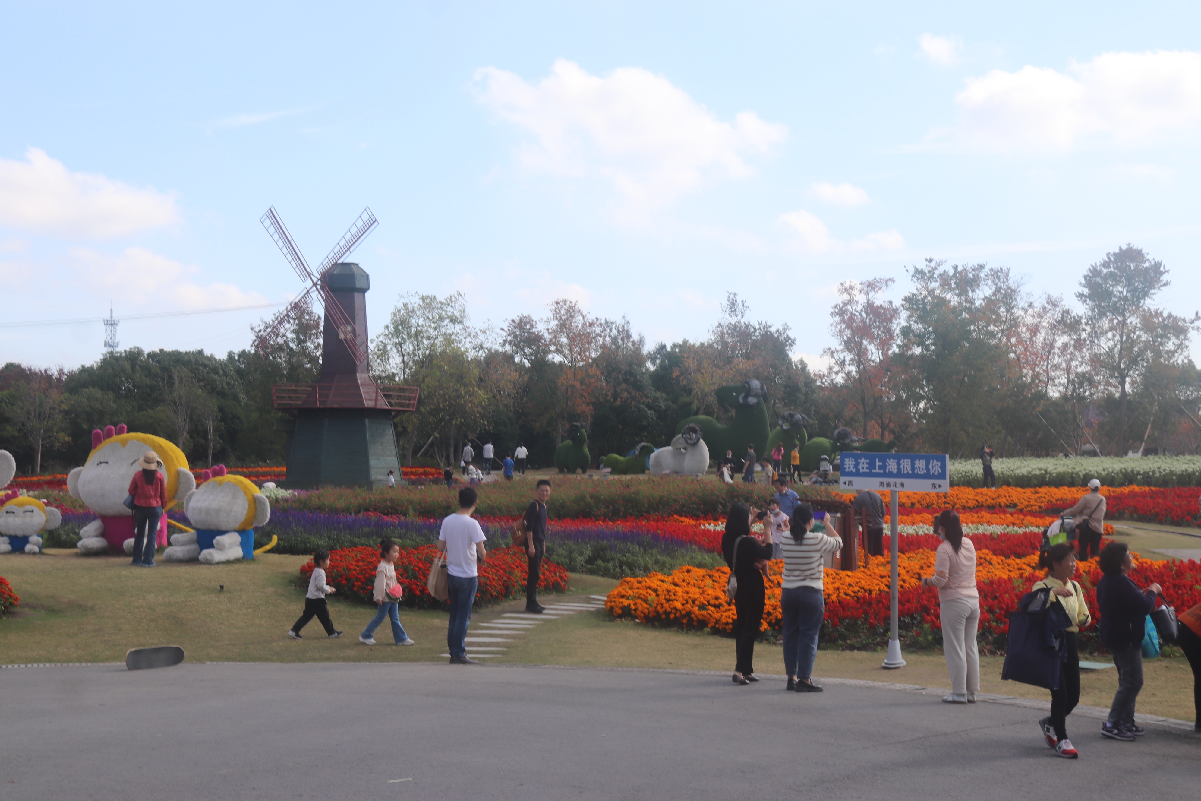 IMG_4198.JPG